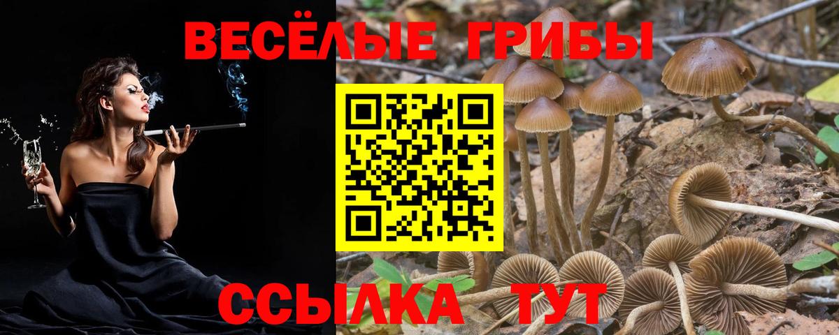 Галлюциногенные грибы мицелий Лесной