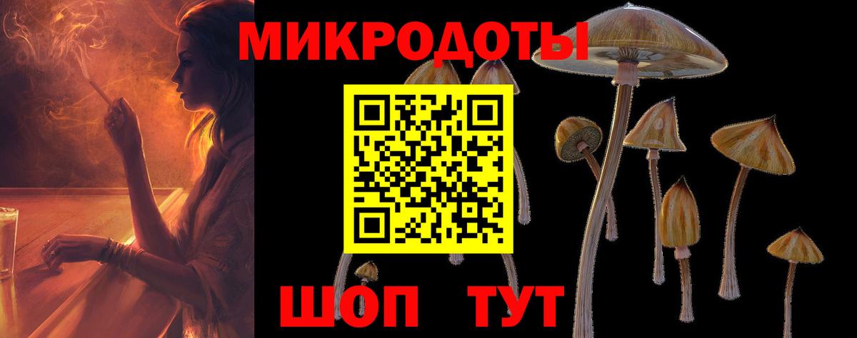 цена наркотик  Псилоцибиновые грибы GOLDEN TEACHER  Псилоцибиновые грибы Magic Shrooms  Вход с VPN  Лесной 